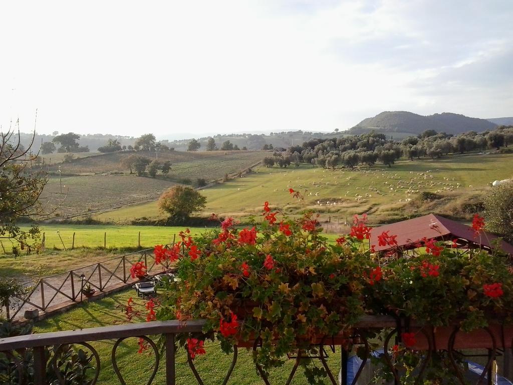 Agriturismo La Valle Degli Ulivi Semproniano Exterior photo
